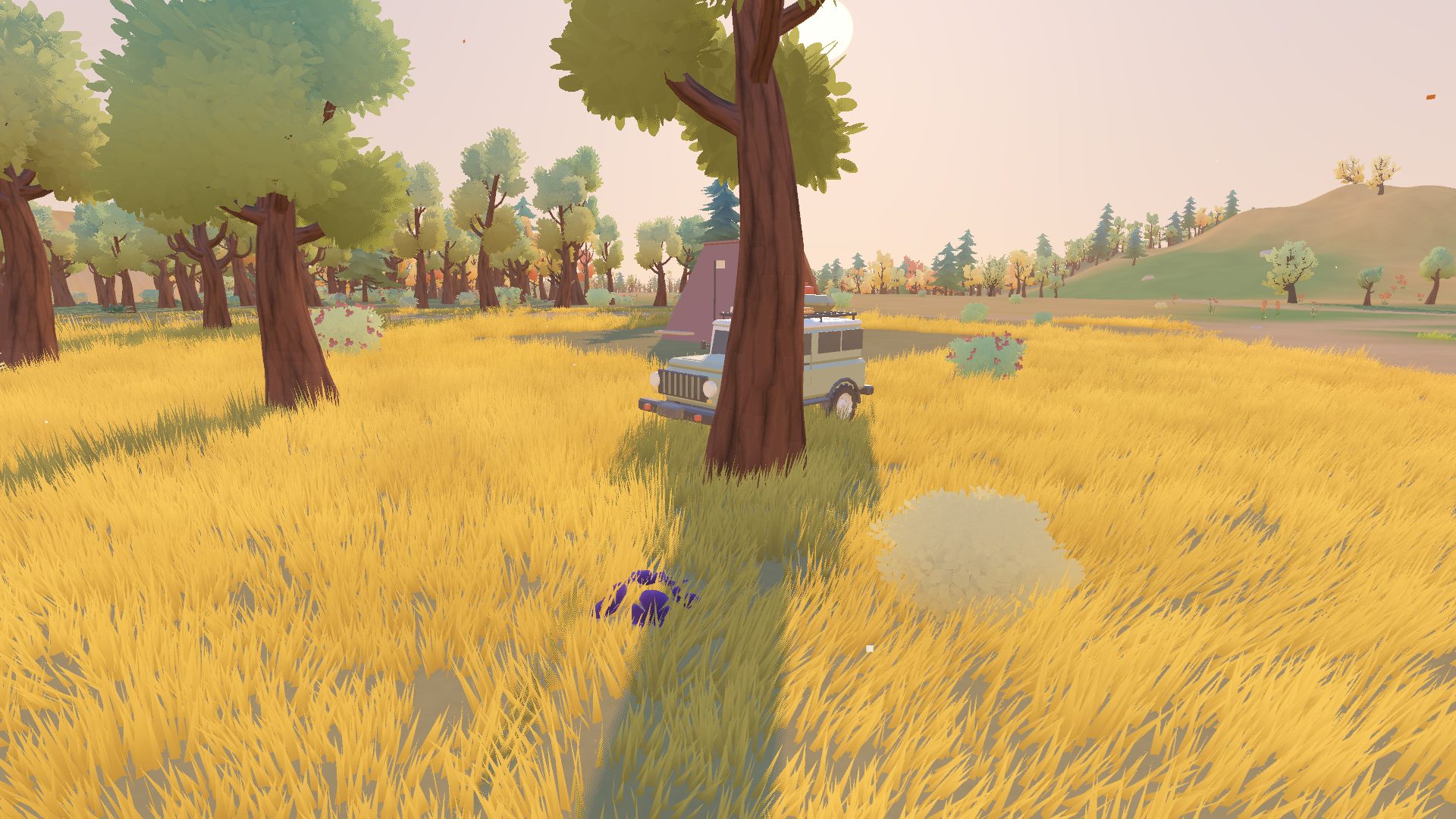 The truck parked in tall golden grass under big shady trees, waiting for a friend.
